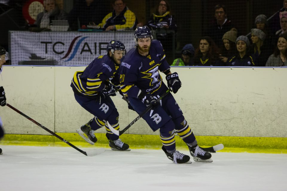 Becoming a Bear: Hayden Dawes ‘another piece to the puzzle’