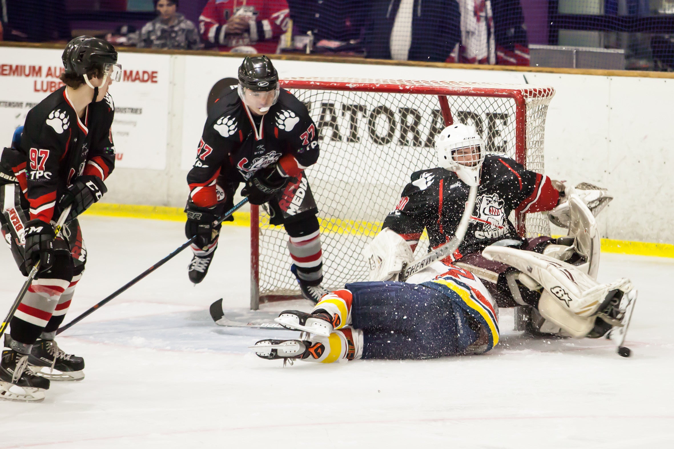 Game Preview: Sydney Bears vs Adelaide Adrenaline