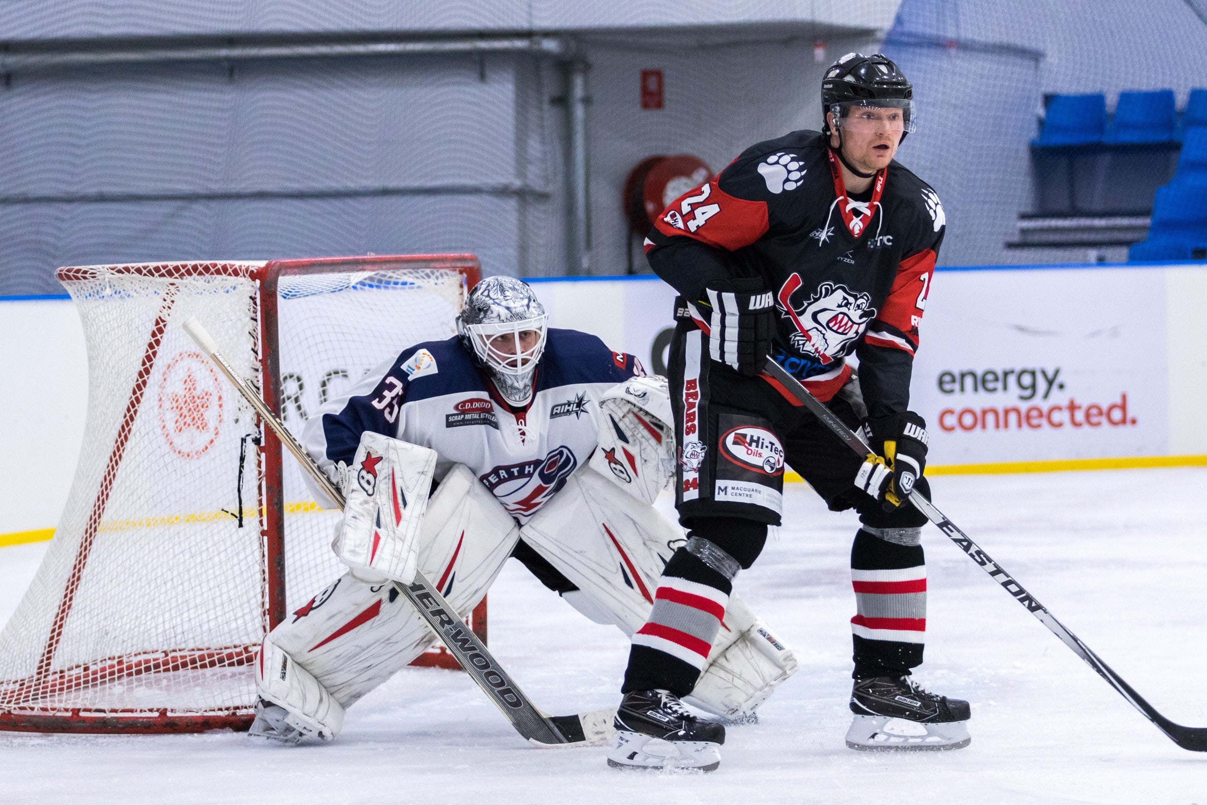 Game Preview: Sydney Bears vs Perth Thunder