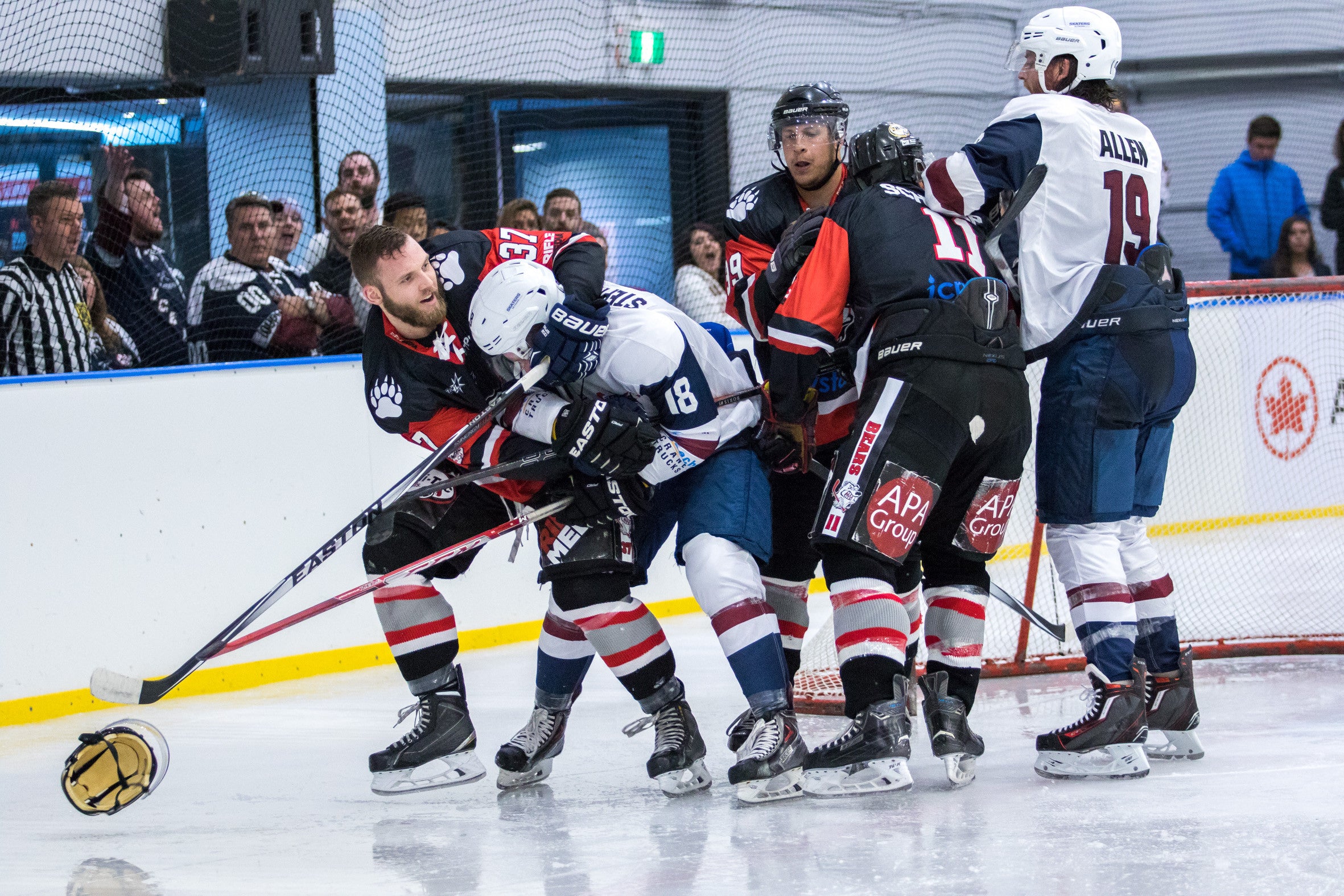 Sydney Ice Dogs