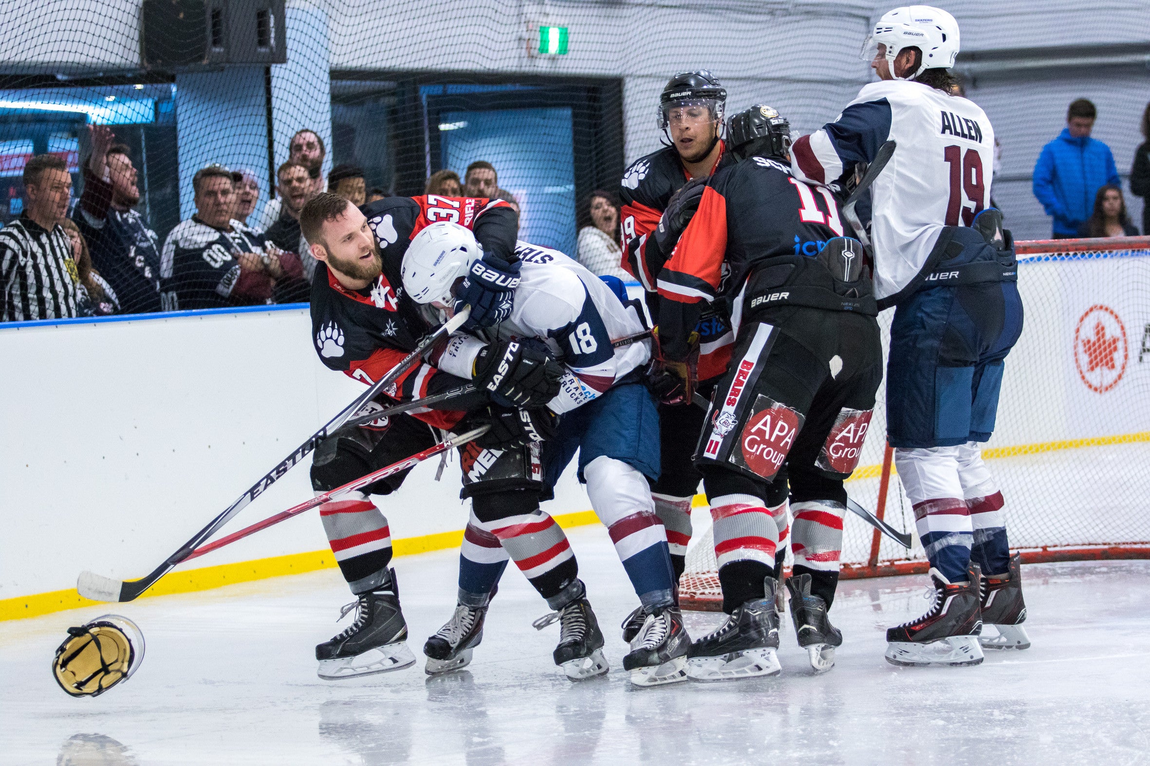 Game Preview: Sydney Bears vs Sydney Ice Dogs